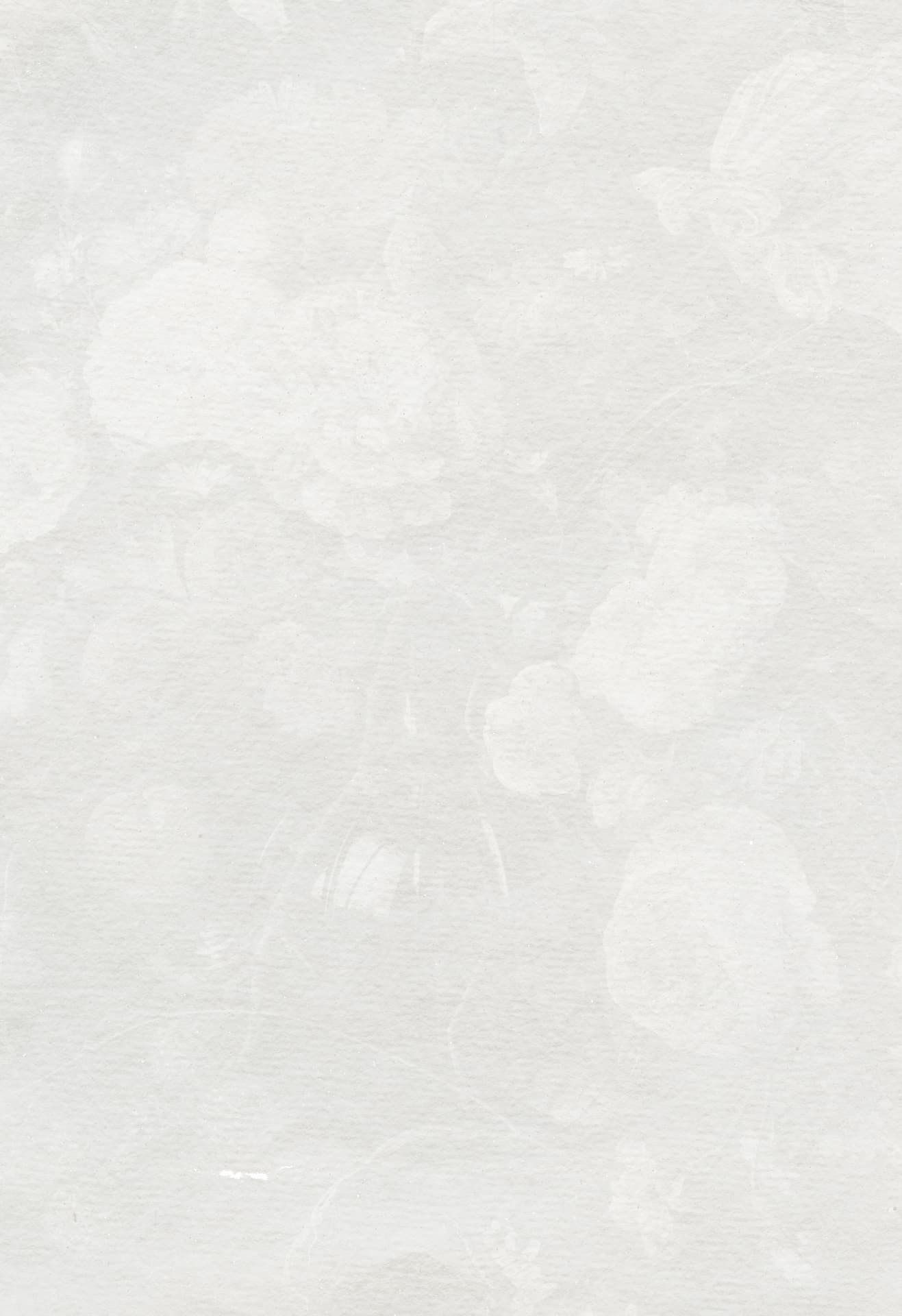 Archive paper texture — Maree Occasions